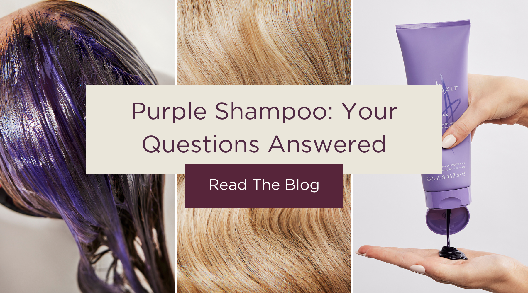 articles/Purple_Shampoo_Your_Questions_Answered.png