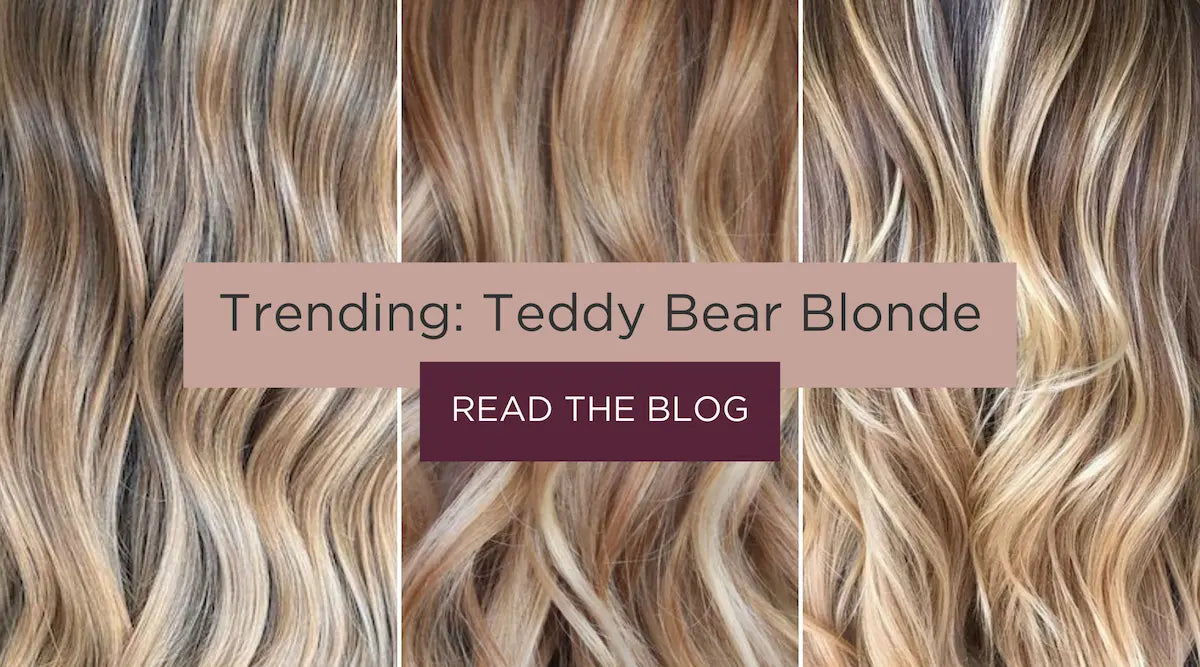 articles/Teddy_Bear_Blonde.webp