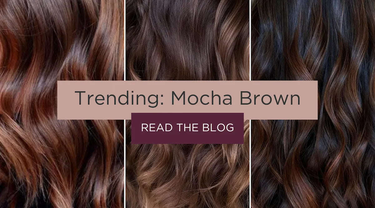 articles/Trending_Hair_Colour_-_Mocha_Brown.webp